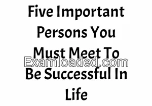 Five Important Persons You Must Meet To Be Successful In Life