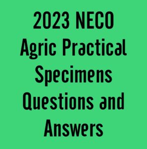 2024 NECO Agric Practical Specimens Questions and Answers