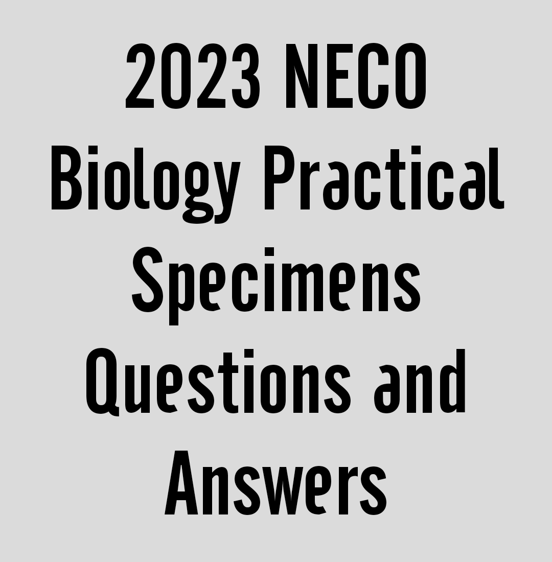2023 neco biology essay questions and answers