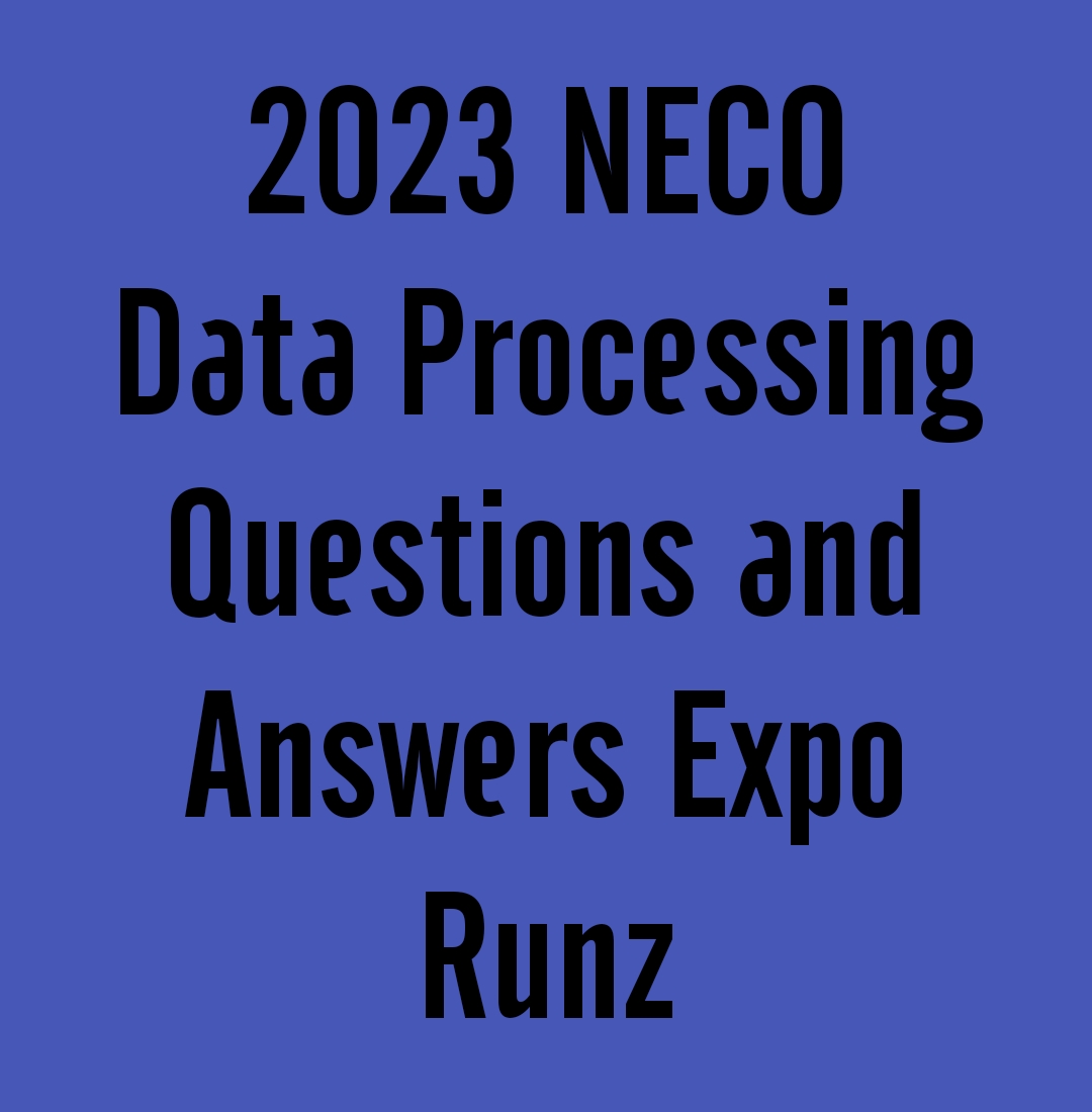 2024 NECO Data Processing Questions and Answers Expo Runz