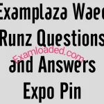 Examplaza Waec Runz Questions and Answers Expo Pin