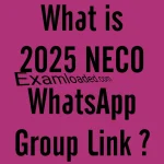 What is 2025 NECO WhatsApp Group Link??