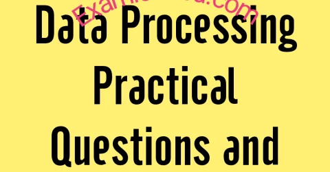 2025 WAEC Data Processing Practical Questions and Answers Expo