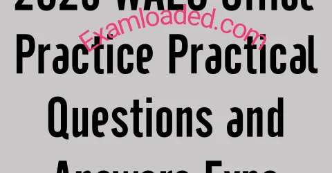 2025 WAEC Office Practice Practical Questions and Answers Expo