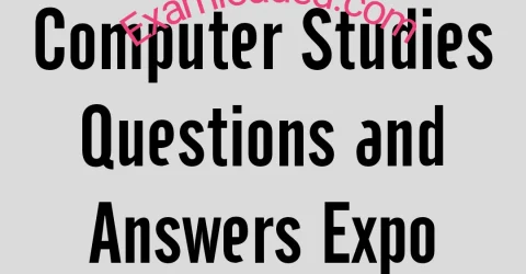 2025 JAMB Computer Studies Questions and Answers Expo Runz