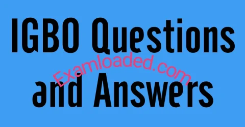 2025 NECO IGBO Questions and Answers Expo Runz