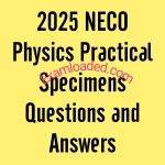 2025 NECO Physics Practical Specimens Questions and Answers