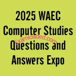 2025 WAEC Computer Studies Questions and Answers Expo 10 2025 WAEC Computer Studies Questions and Answers Expo Runz