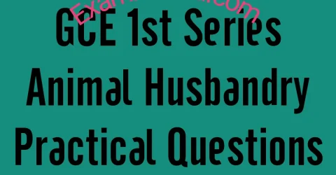 2025 WAEC GCE 1st Series Animal Husbandry Practical Questions and Answers Expo