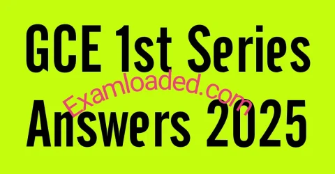 Examface Waec GCE 1st Series Answers 2025 Expo Runz