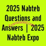 2025 Nabteb GCE Questions and Answers | 2025 Nabteb GCE Expo 2 2025 Nabteb Questions and Answers 2025 Nabteb Expo