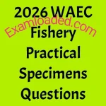 2026 WAEC Fishery Practical Specimens Questions