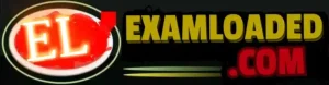 Examloaded.com-Logo-300x78 Examloaded.com Logo 300x78 1