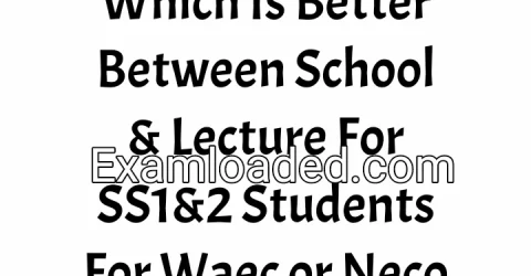 Which Is Better Between School & Lecture For SS1&2 Students For Waec or Neco
