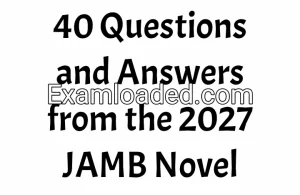 40 Questions and Answers from the 2027 JAMB Novel