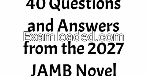 40 Questions and Answers from the 2027 JAMB Novel