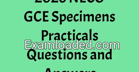 2026 NECO GCE Specimens Practicals Questions and Answers