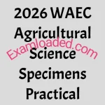 2026 WAEC Agricultural Science Specimens Practical
