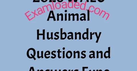 2026 WAEC Animal Husbandry Questions and Answers Expo