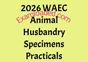 2026 WAEC Animal Husbandry Specimens Practicals