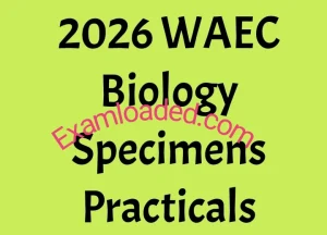 2026 WAEC Biology Specimens Practicals