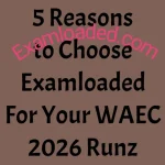 5 Reasons to Choose Examloaded for Your WAEC 2026 Runz 4 5 Reasons to Choose Examloaded For Your WAEC 2026 Runz