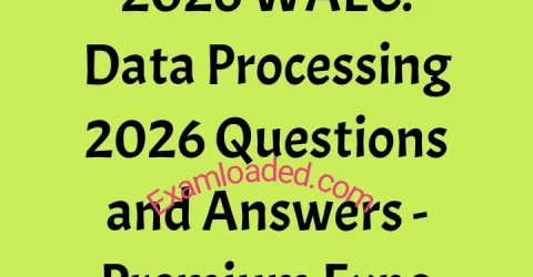 2026 WAEC Data Processing 2026 Questions and Answers Premium Expo