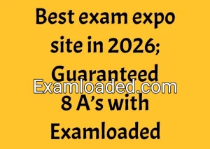 Best exam expo site in 2026 Guaranteed 8 A s with Examloaded