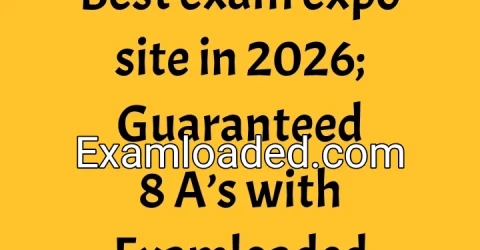 Best exam expo site in 2026 Guaranteed 8 A s with Examloaded