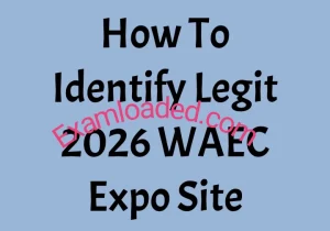 How To Identify Legit 2026 WAEC Expo Site