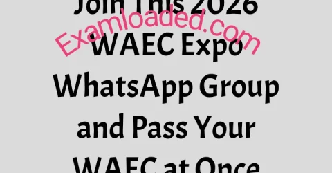 Join This 2026 WAEC Expo WhatsApp Group and Pass Your WAEC at Once