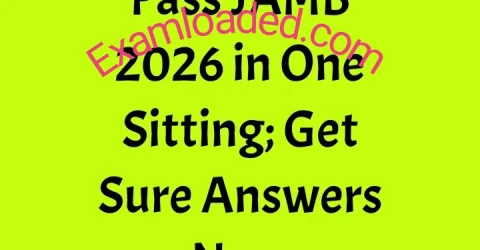 Pass JAMB 2026 in One Sitting Get Sure Answers Now