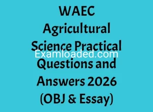 WAEC Agricultural Science Practical Questions and Answers 2026 OBJ Essay WAEC Agricultural Science Practical Questions and Answers 2026 OBJ Essay