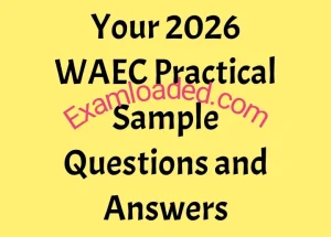Your 2026 WAEC Practical Sample Questions and Answers Your 2026 WAEC Practical Sample Questions and Answers