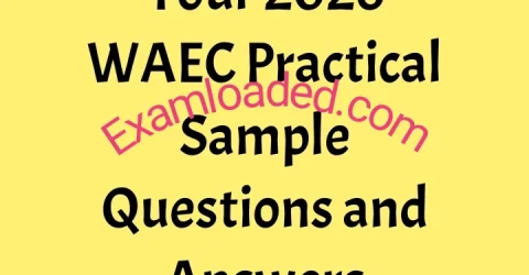 Your 2026 WAEC Practical Sample Questions and Answers