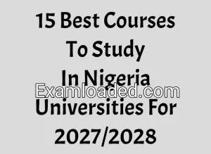15 Best Courses To Study In Nigeria Universities For 2027/2028