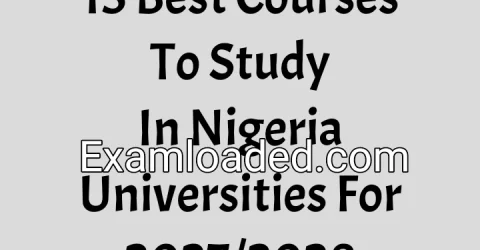 15 Best Courses To Study In Nigeria Universities For 2027/2028