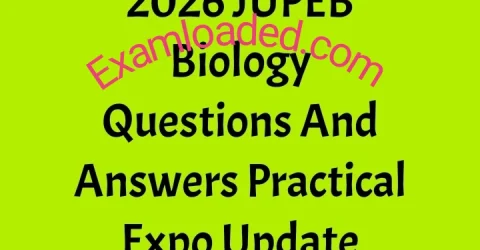 2026 JUPEB Biology Questions And Answers Practical Expo Update