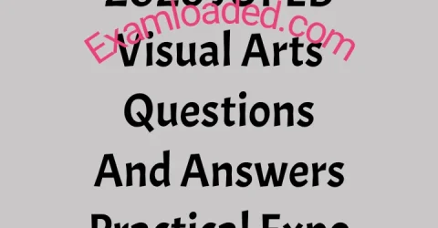 2026 JUPEB Visual Arts Questions And Answers Practical Expo