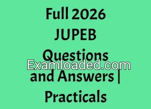 Full 2026 JUPEB Questions and Answers Practicals