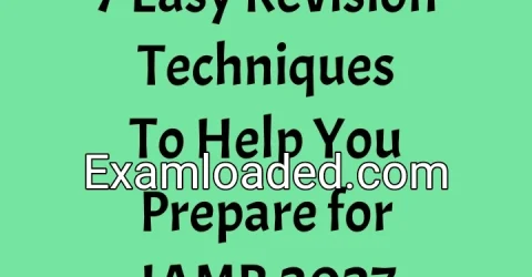 7 Easy Revision Techniques To Help You Prepare for JAMB 2027