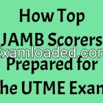 How Top JAMB Scorers Prepared for the UTME Exam