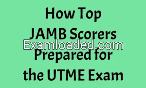 How Top JAMB Scorers Prepared for the UTME Exam