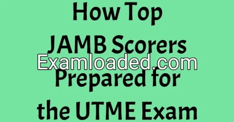 How Top JAMB Scorers Prepared for the UTME Exam