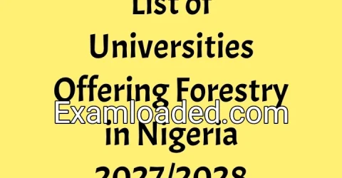 List of Universities Offering Forestry in Nigeria 2027/2028