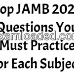 Top JAMB 2027 Questions You Must Practice for Each Subject